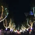 神戸 北野の写真_51189