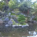 長岡天満宮の写真_513227