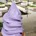 あしかがフラワーパークの写真_514252