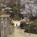 少林山達磨寺の写真_51592