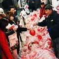 少林山達磨寺の写真_51594