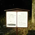大和神社の写真_516345