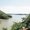 松島 田里津庵の写真_51745