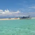 百合ヶ浜の写真_51778