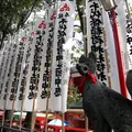 千代保稲荷神社の写真_5183