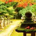 宗鏡寺（沢庵寺）の写真_51937