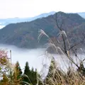 竹田城跡の写真_51943