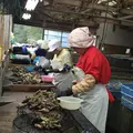 佐藤養殖場の写真_52125
