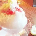 楳心果の写真_52223