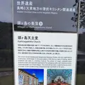 カトリック頭ヶ島教会の写真_522928