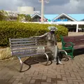 総合運動公園駅の写真_524514