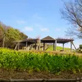 総合運動公園駅の写真_524517