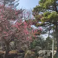 兼六園の写真_525802