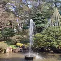 兼六園の写真_525805