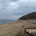 白米千枚田の写真_525829