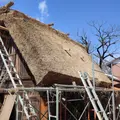 白川郷合掌造りの写真_525882