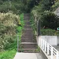 披露山公園の写真_52610