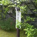 溝口神社の写真_526229
