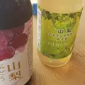 忍野八海の写真_532180