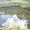 忍野八海の写真_532182