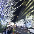 六本木けやき坂通りの写真_53311