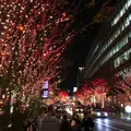 六本木けやき坂通りの写真_53312