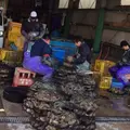 進生水産の写真_53395