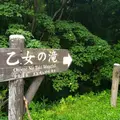 乙女の滝の写真_536513