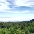 那須ロープウェイの写真_536528
