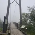 つつじ吊橋の写真_536533
