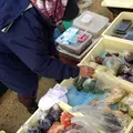 六斎市の写真_53734