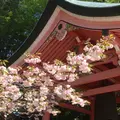 比叡山延暦寺の写真_53776