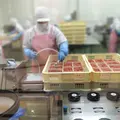 かねふくめんたいパーク伊豆の写真_538246