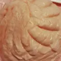 かねふくめんたいパーク伊豆の写真_538272