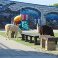 小琉球海洋館の写真_538540