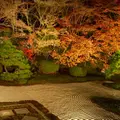 永観堂（禅林寺）の写真_53880