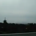 奈良県庁の写真_539843