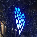 六本木けやき坂通りの写真_54127