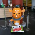近鉄奈良駅総合観光案内所の写真_542267