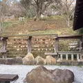 合格神社の写真_54647