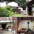 野いばらの実の写真_54838