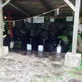 立岩水源公園の写真_54865