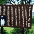 免の石の写真_54869