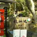 等彌神社の写真_549809