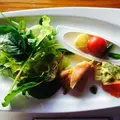 駱駝の写真_54981