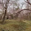 旭山動物園の写真_552217