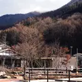 カフェ深山の写真_55511