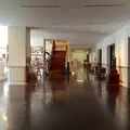 熊本市現代美術館の写真_55804