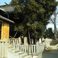 英賀神社の写真_559393