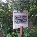 大山小径の写真_560801